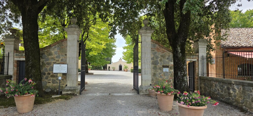 Gallery image 2 for Avignonesi