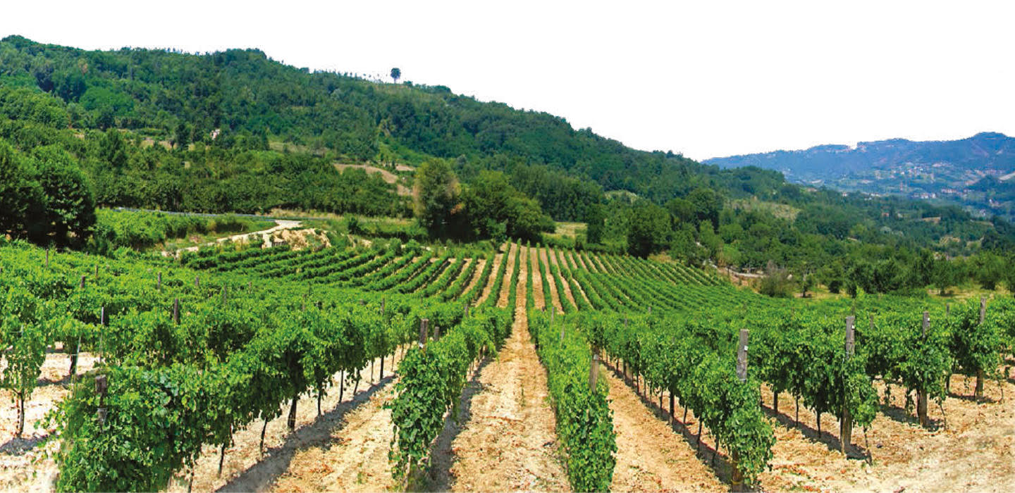 Gallery image 4 for Calafè