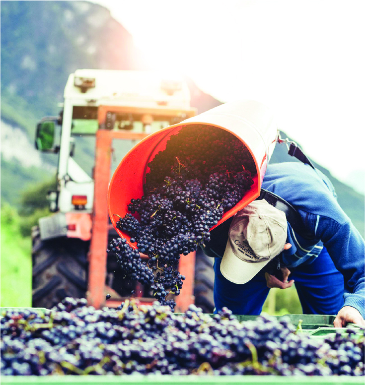 Gallery image 5 for Castelfeder