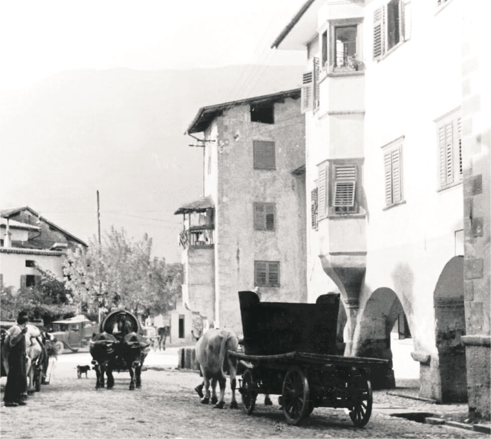 Gallery image 6 for Castelfeder