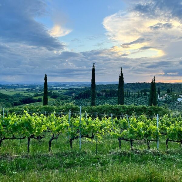 Gallery image 3 for Castell'In Villa