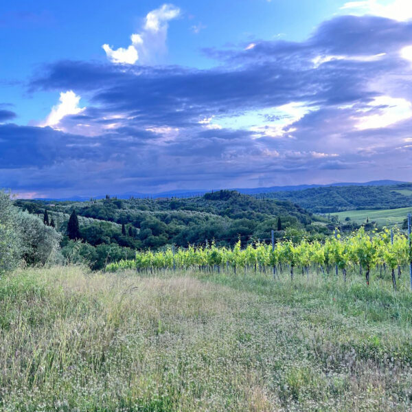 Gallery image 5 for Castell'In Villa