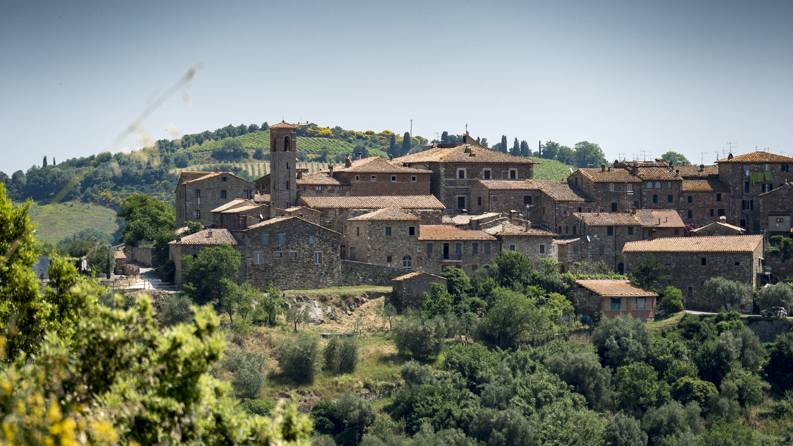 Gallery image 6 for Ciacci Piccolomini d'Aragona