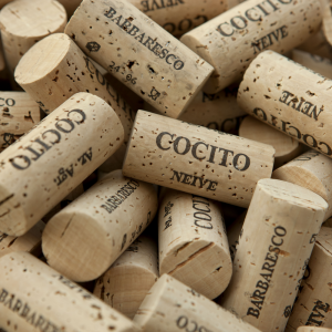 Gallery image 1 for Cocito