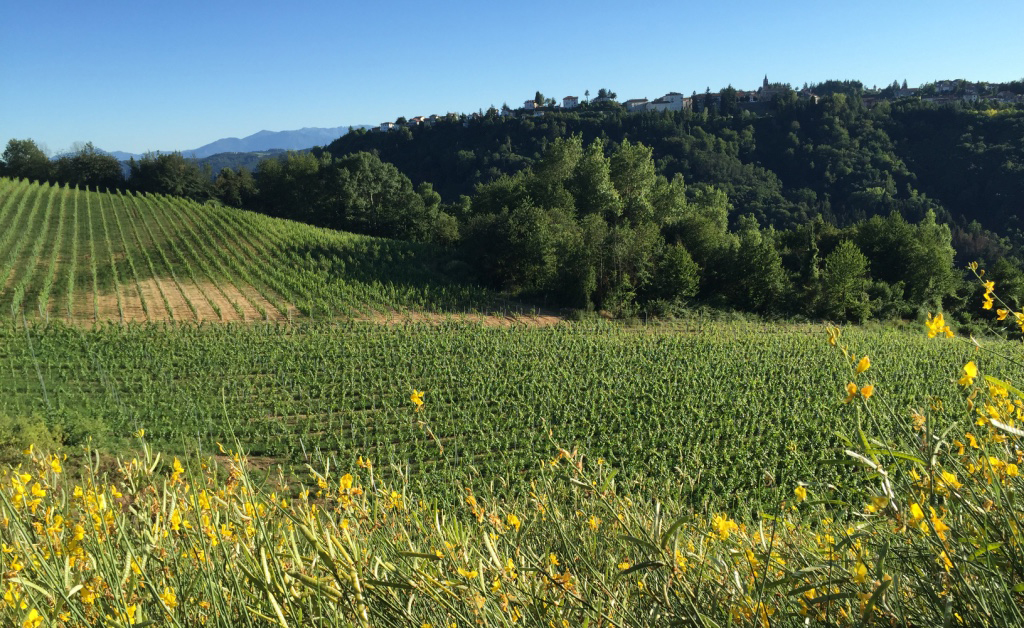 Gallery image 7 for Contratto