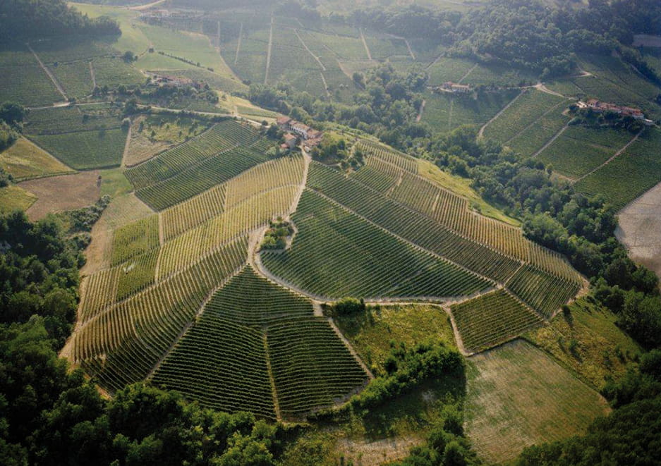 Gallery image 2 for Domenico Clerico