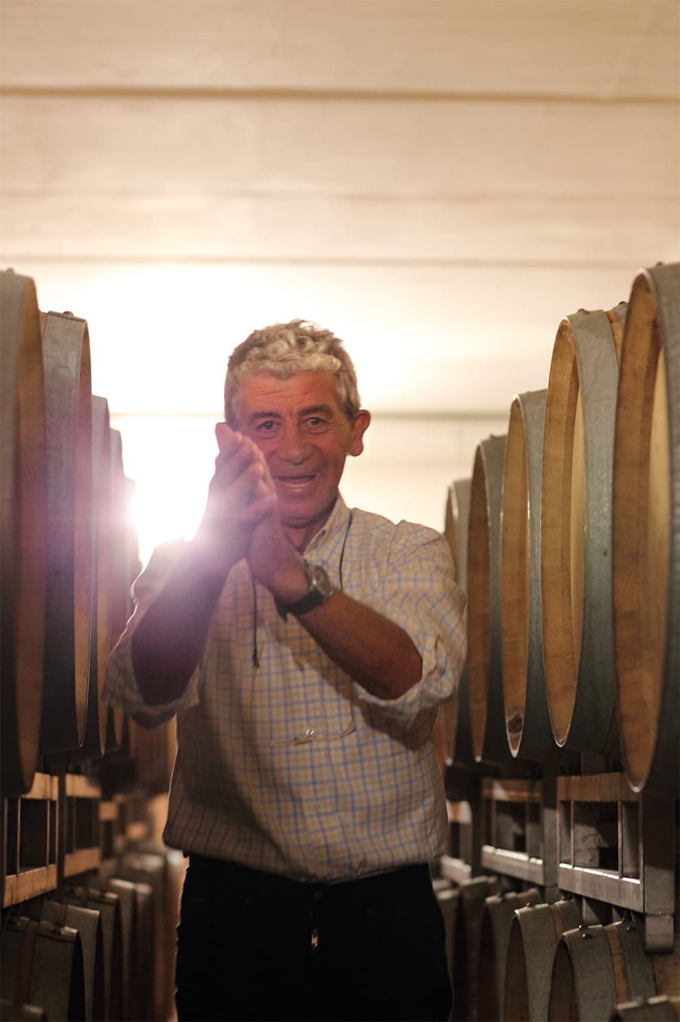 Gallery image 3 for Domenico Clerico