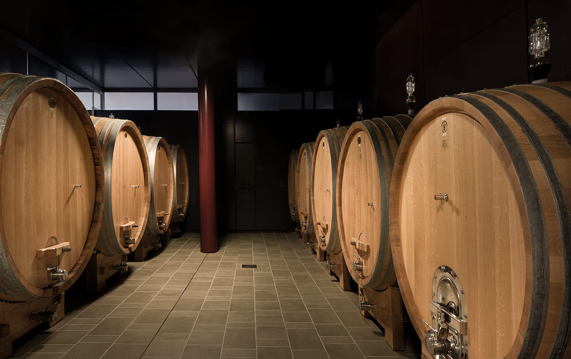 Gallery image 4 for Domenico Clerico