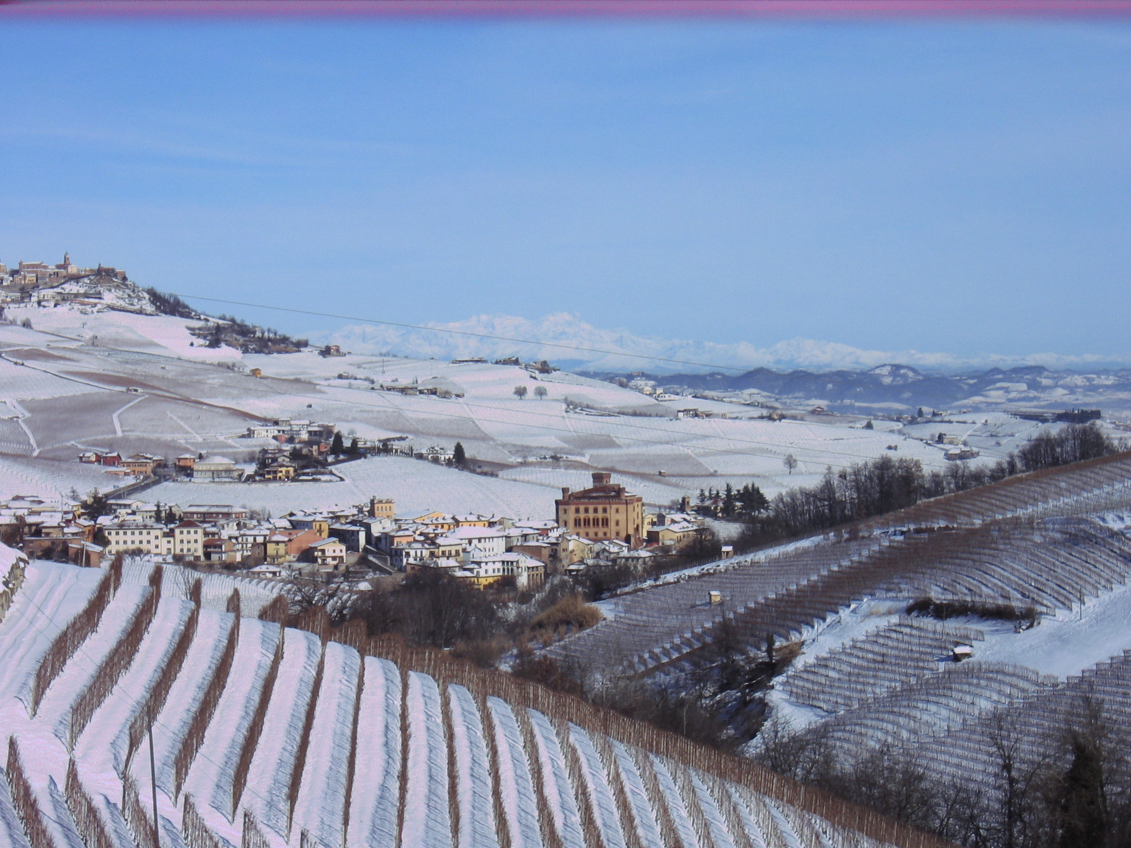 Gallery image 4 for E. Pira e Figli