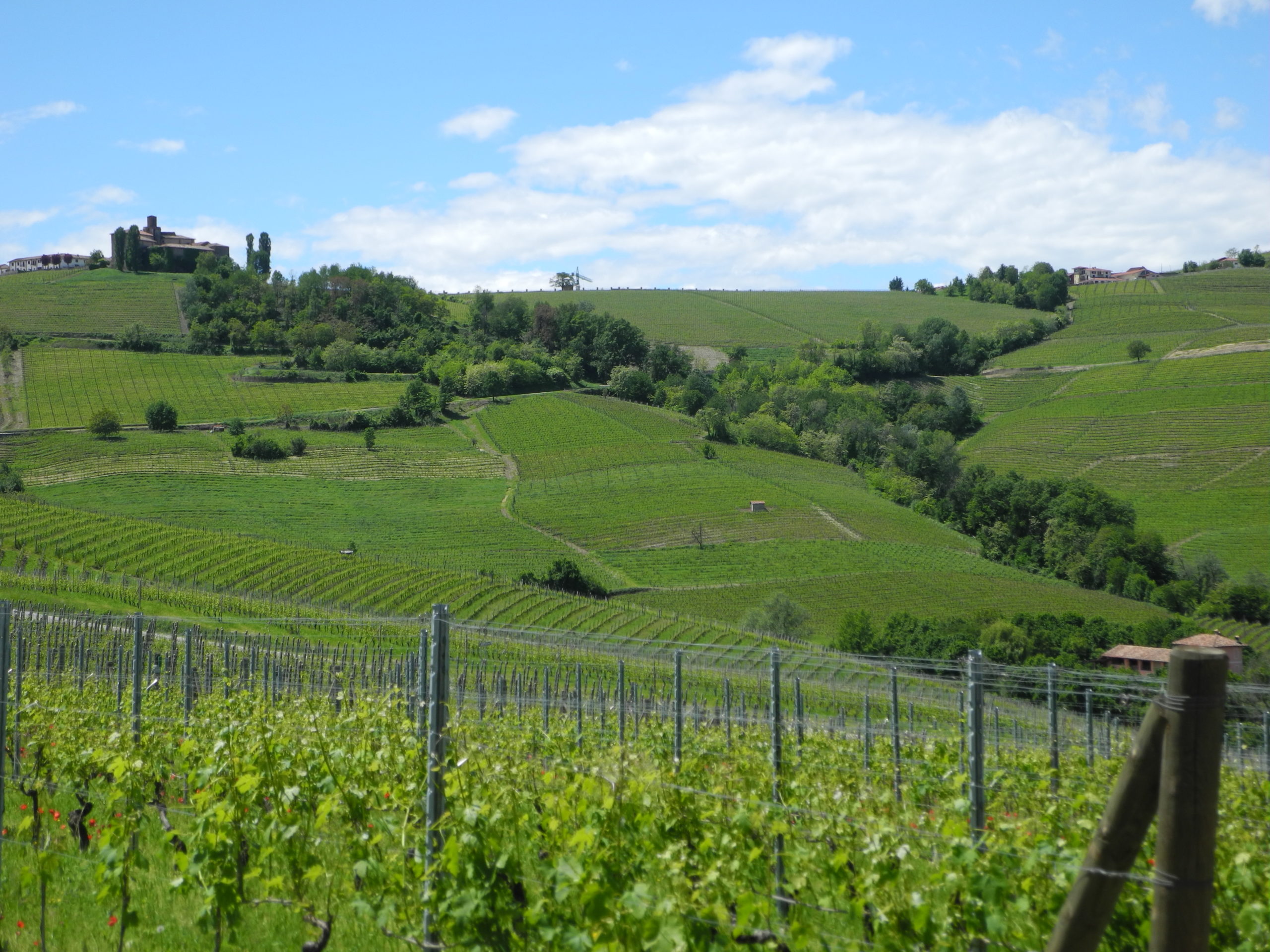 Gallery image 7 for E. Pira e Figli