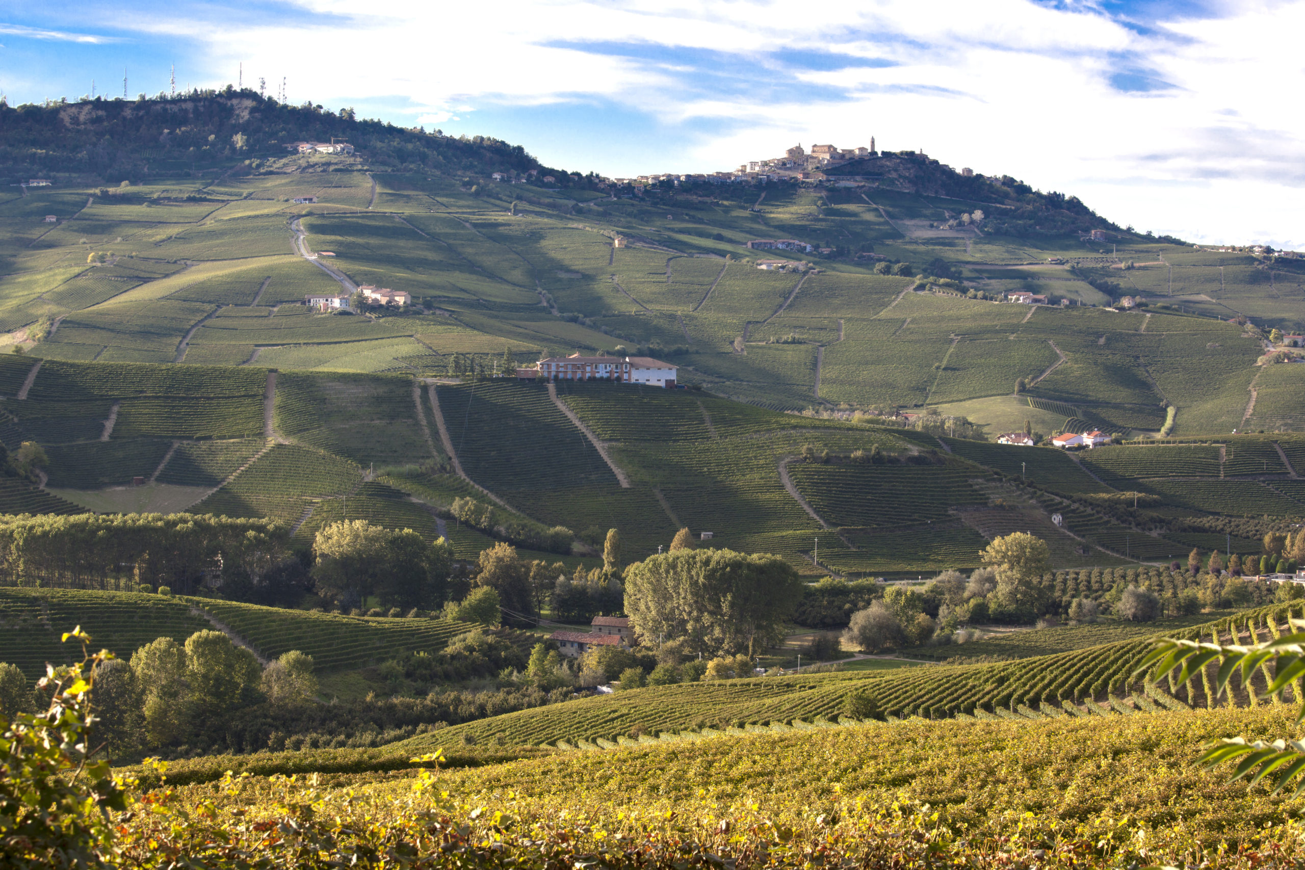 Gallery image 8 for E. Pira e Figli