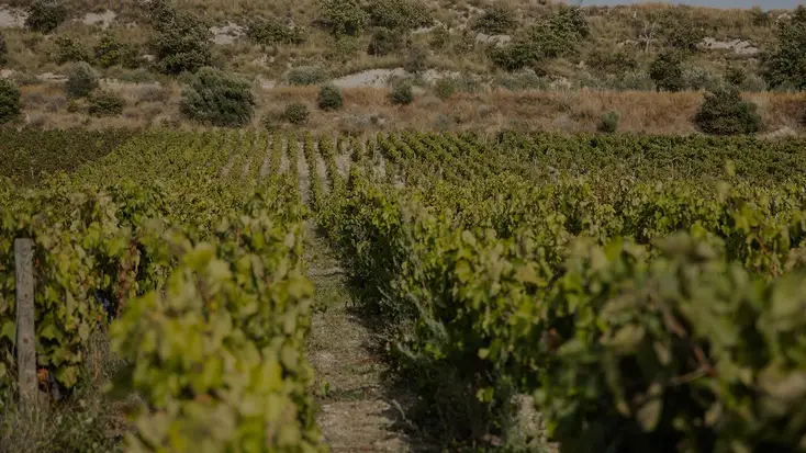 Gallery image 4 for Gulfi