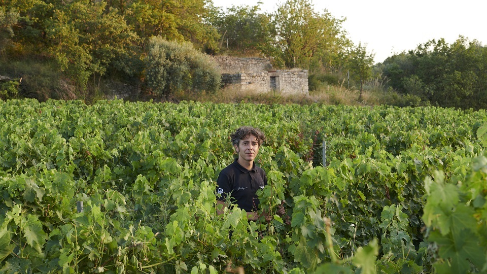 Gallery image 6 for Gulfi