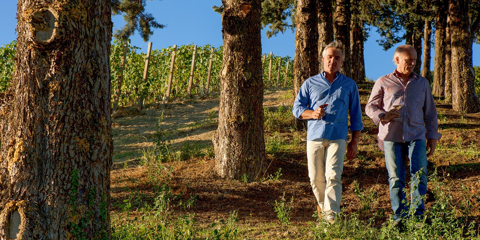 Gallery image 7 for Malvirà