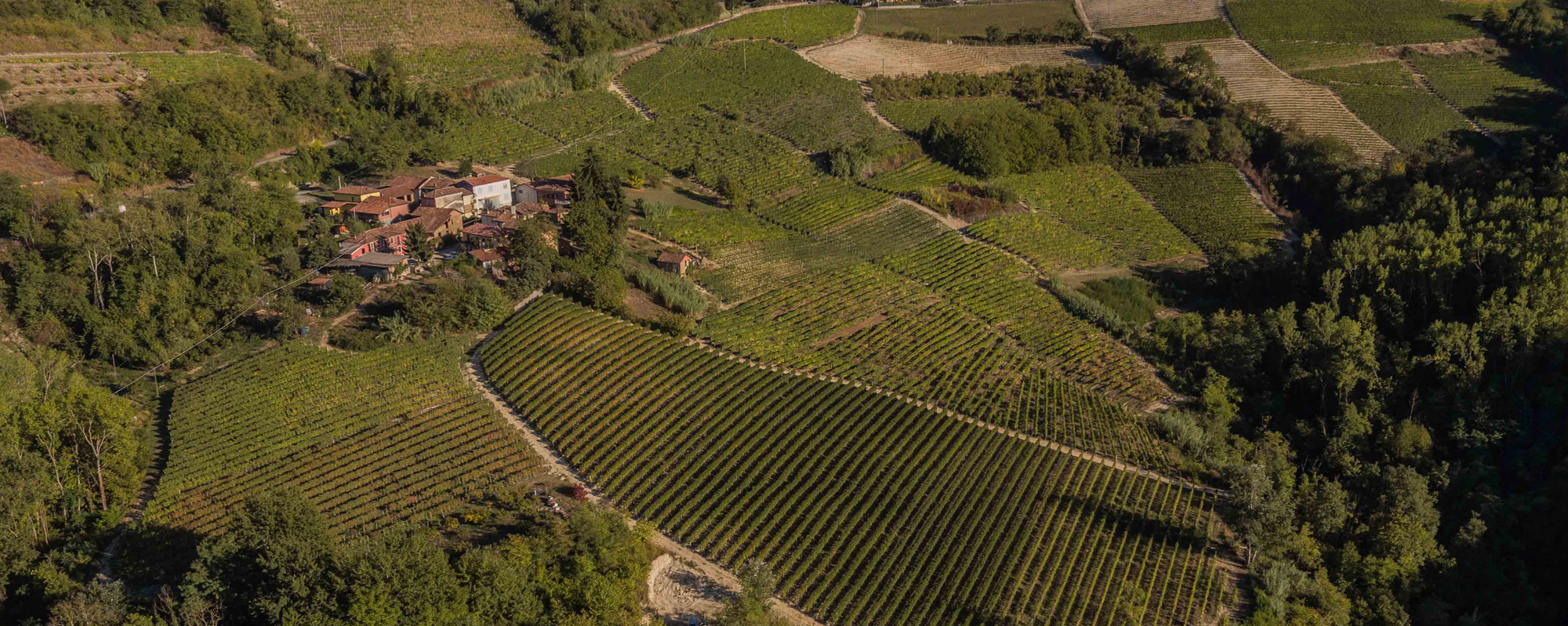 Gallery image 4 for Massimo Rivetti