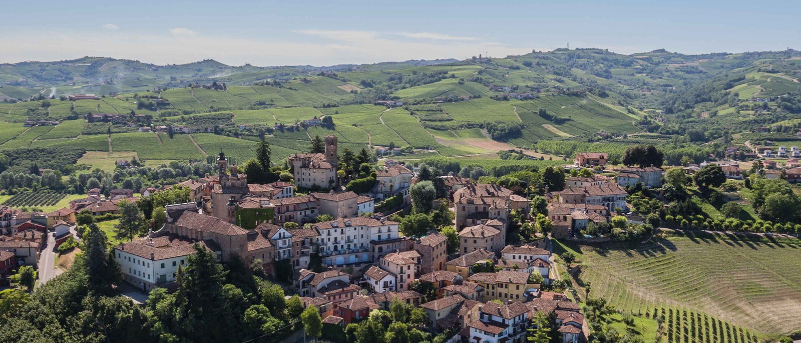 Gallery image 6 for Massimo Rivetti