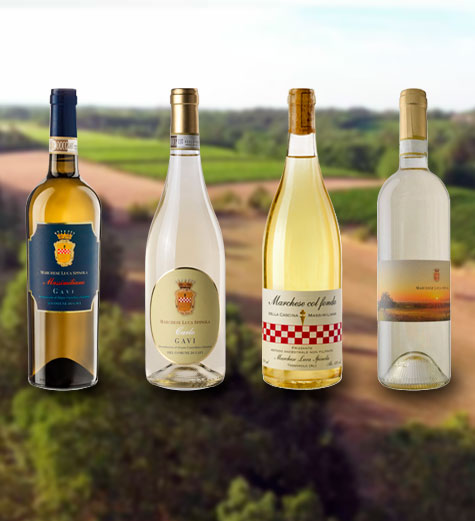 Gallery image 2 for Marchese Luca Spinola