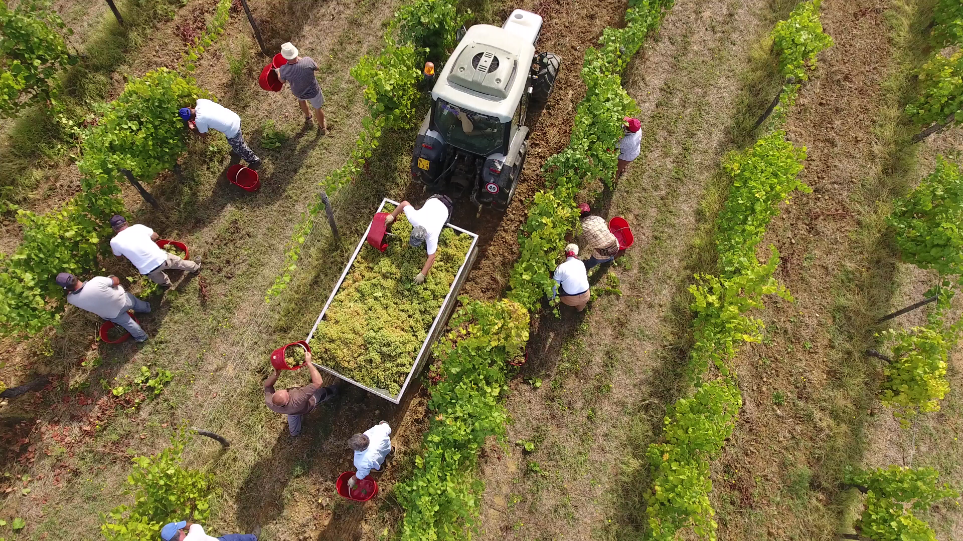 Gallery image 6 for Marchese Luca Spinola