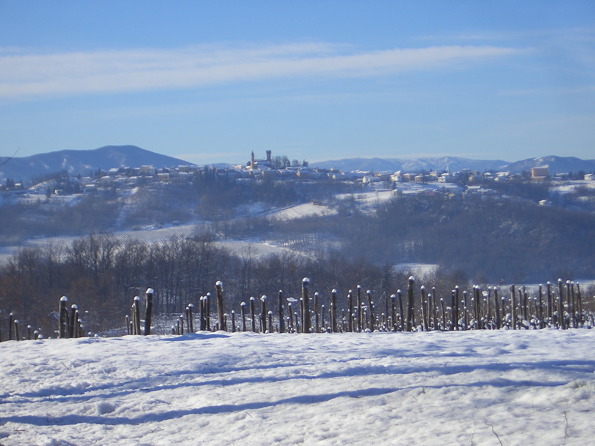 Gallery image 8 for Marchese Luca Spinola