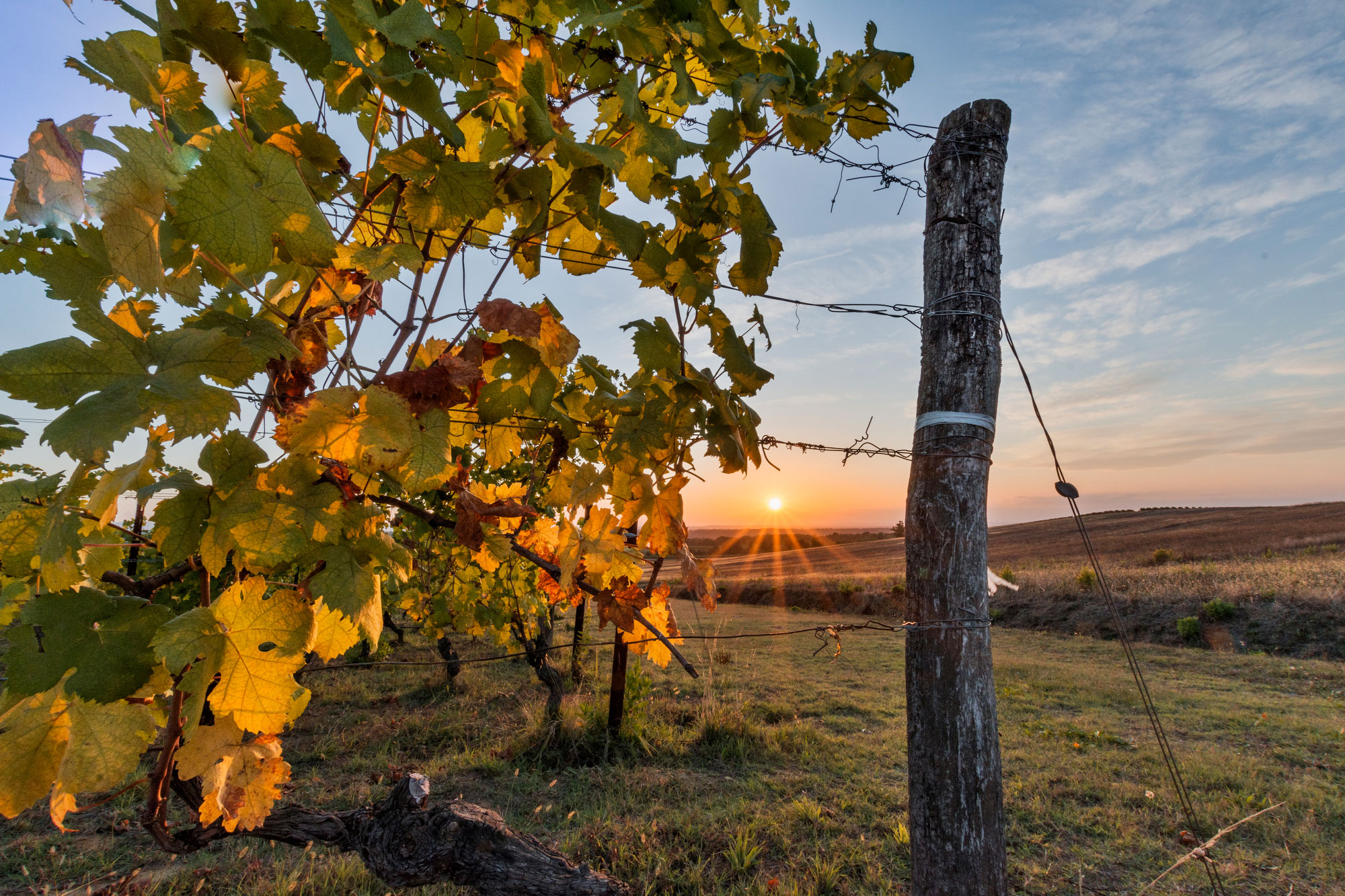 Gallery image 10 for Marchese Luca Spinola