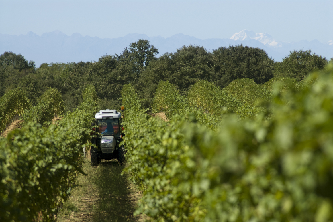 Gallery image 11 for Marchese Luca Spinola