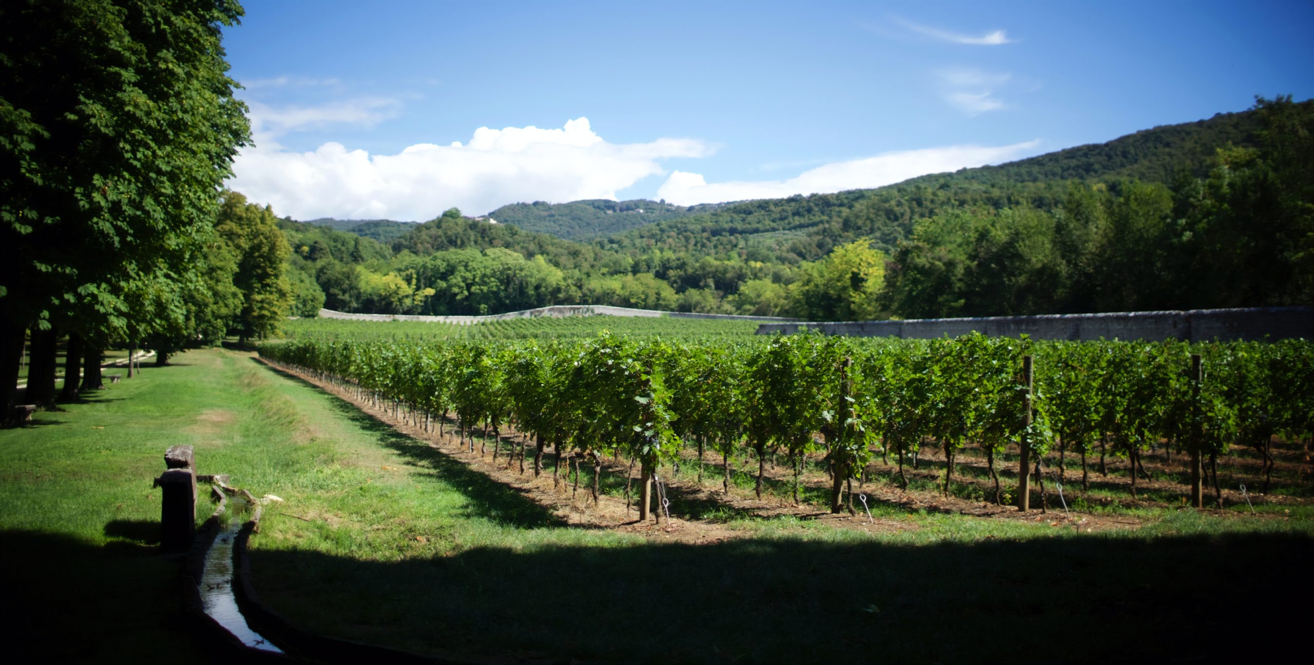 Gallery image 2 for Tenuta Santa Maria