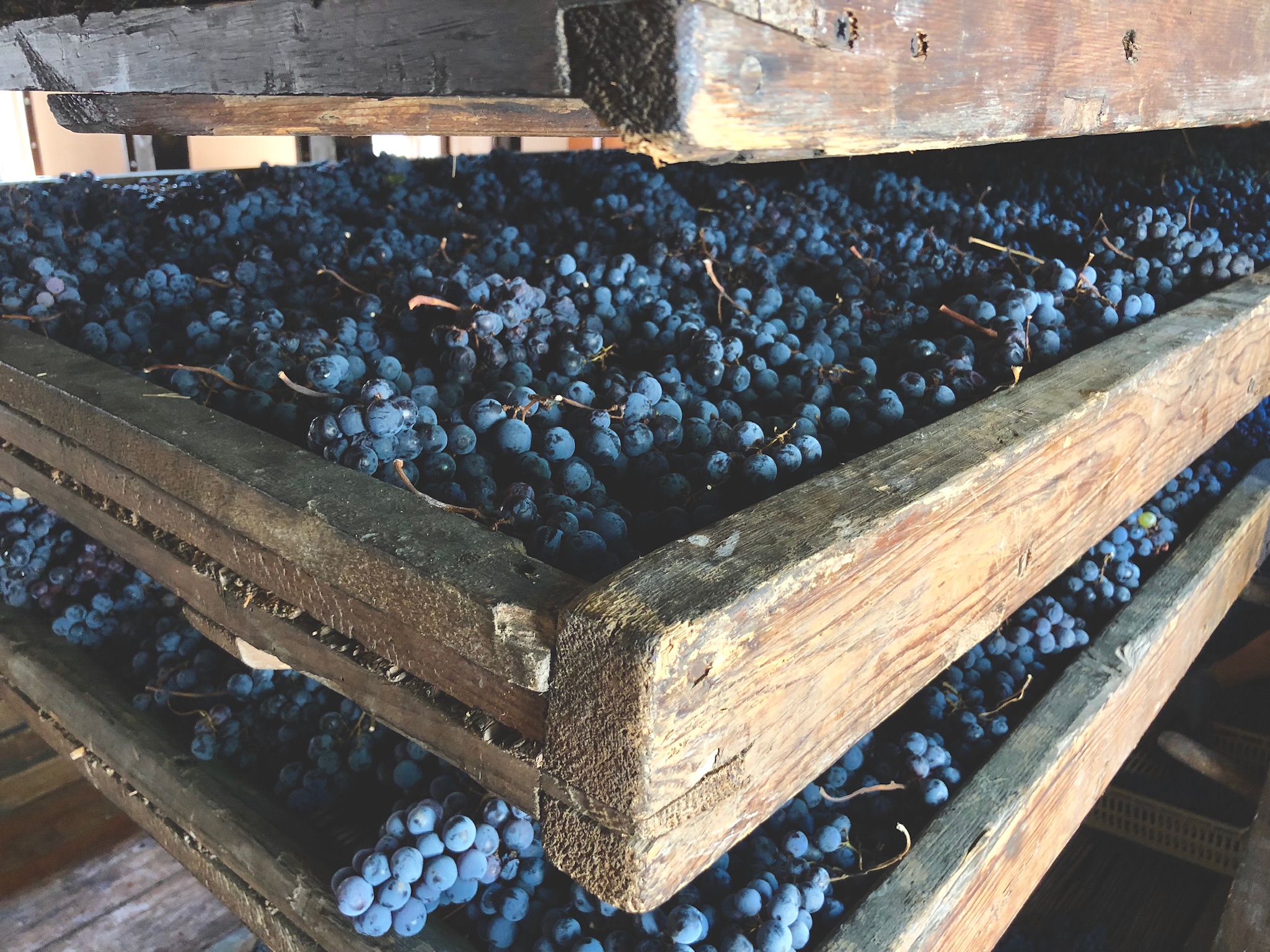 Gallery image 5 for Tenuta Santa Maria