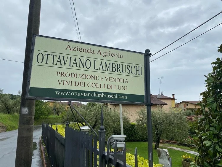 Gallery image 2 for Ottaviano Lambruschi