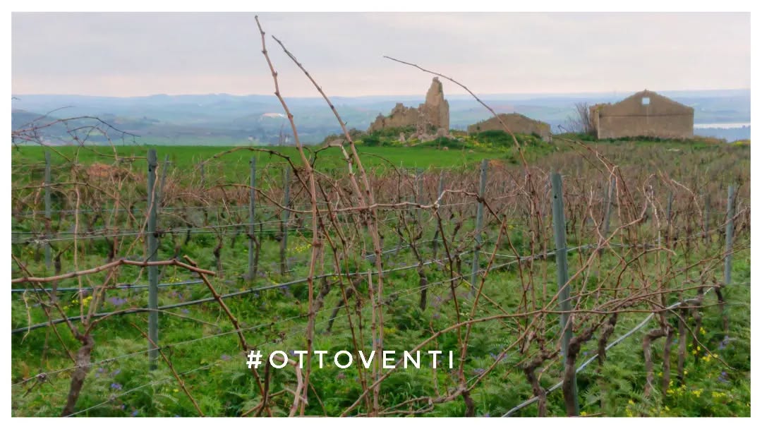 Gallery image 4 for Ottoventi