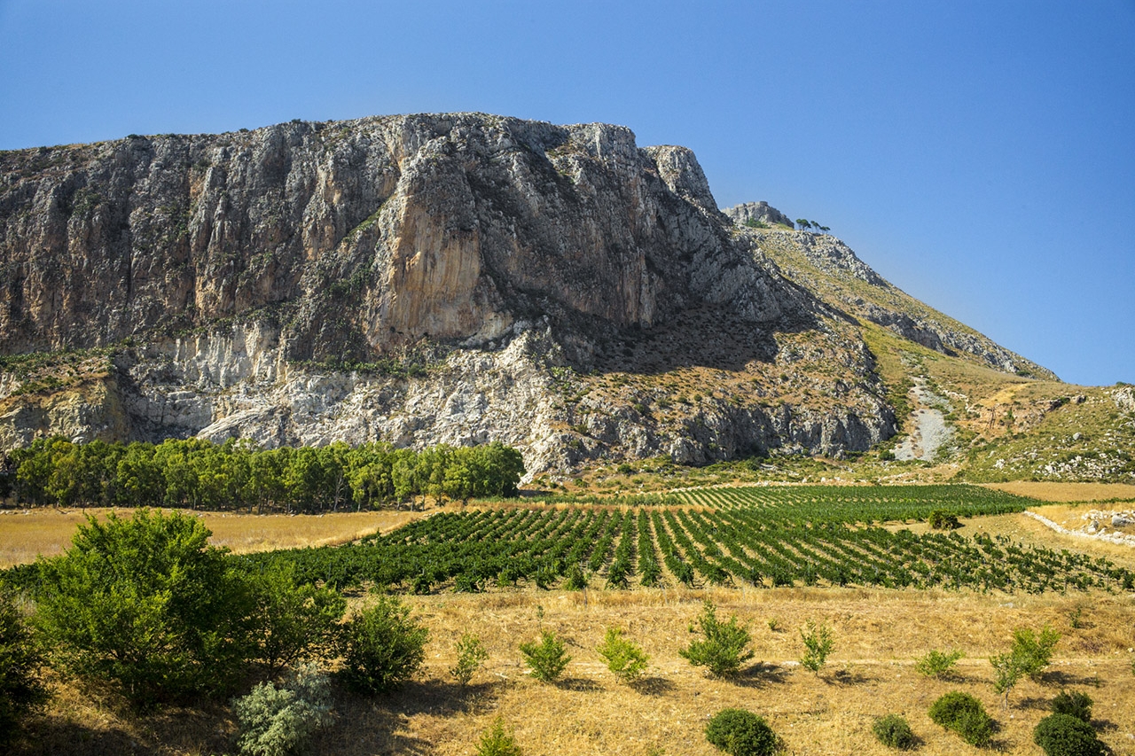 Gallery image 5 for Ottoventi