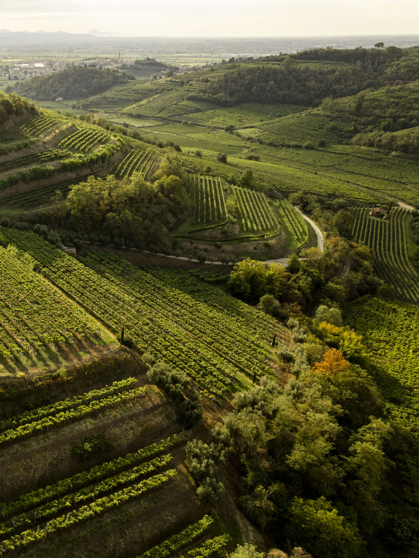 Gallery image 4 for Prà