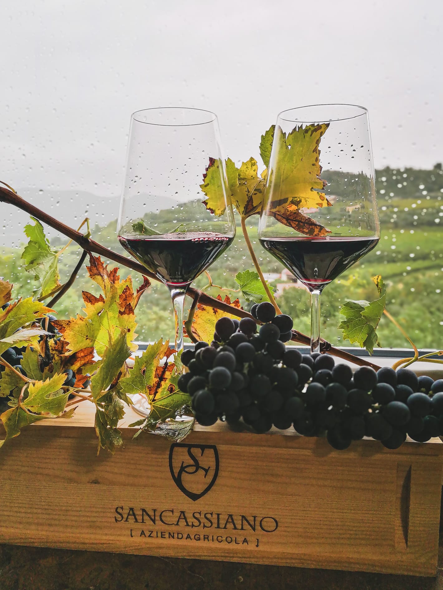 Gallery image 2 for San Cassiano