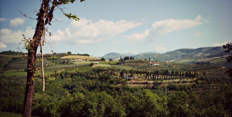 Gallery image 4 for San Cassiano