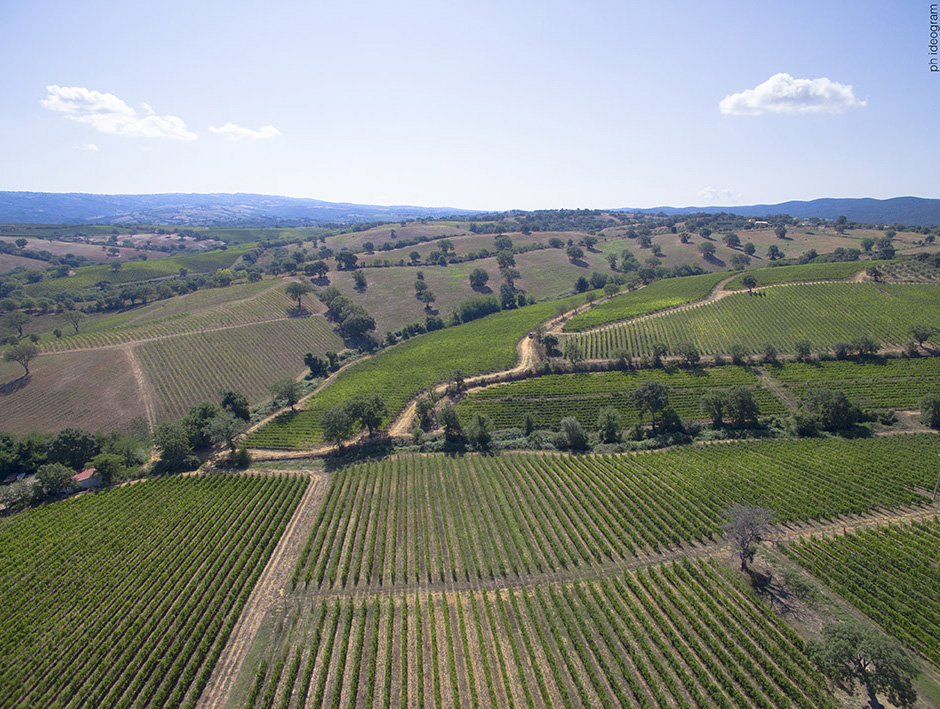 Gallery image 1 for San Felo