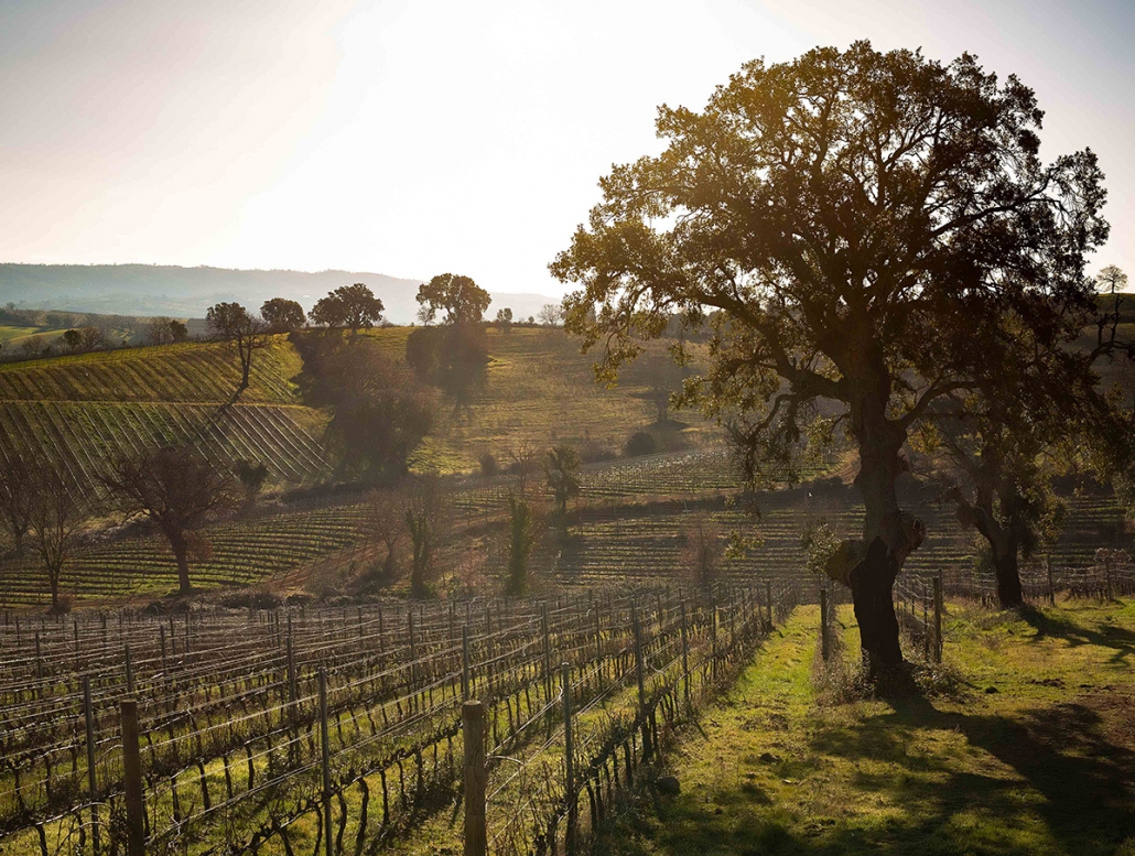 Gallery image 3 for San Felo