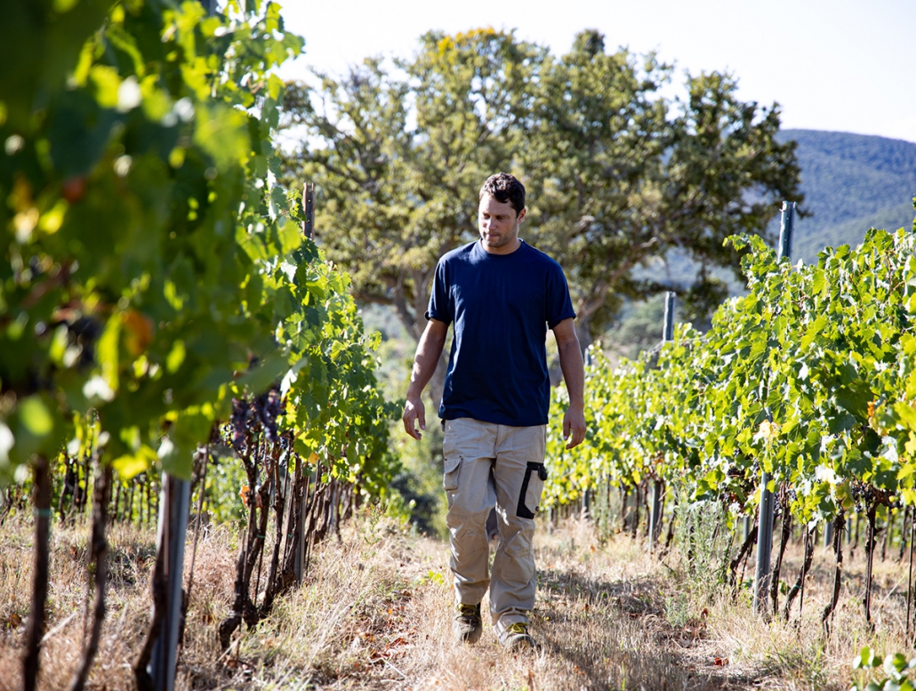 Gallery image 5 for San Felo