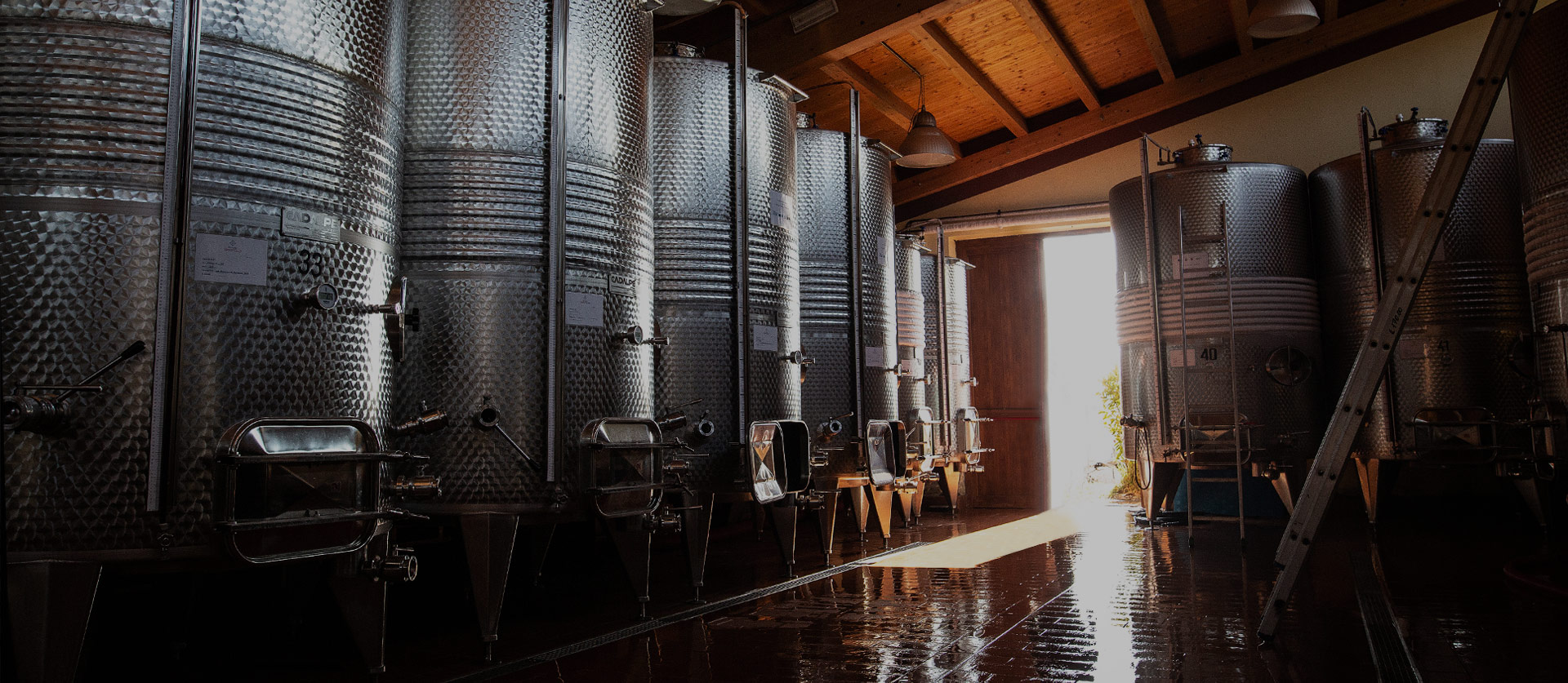 Gallery image 7 for San Felo