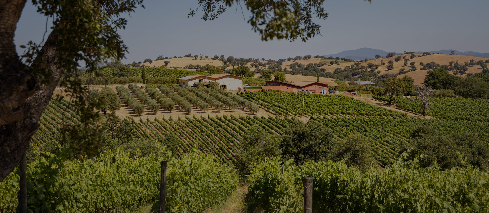 Gallery image 9 for San Felo