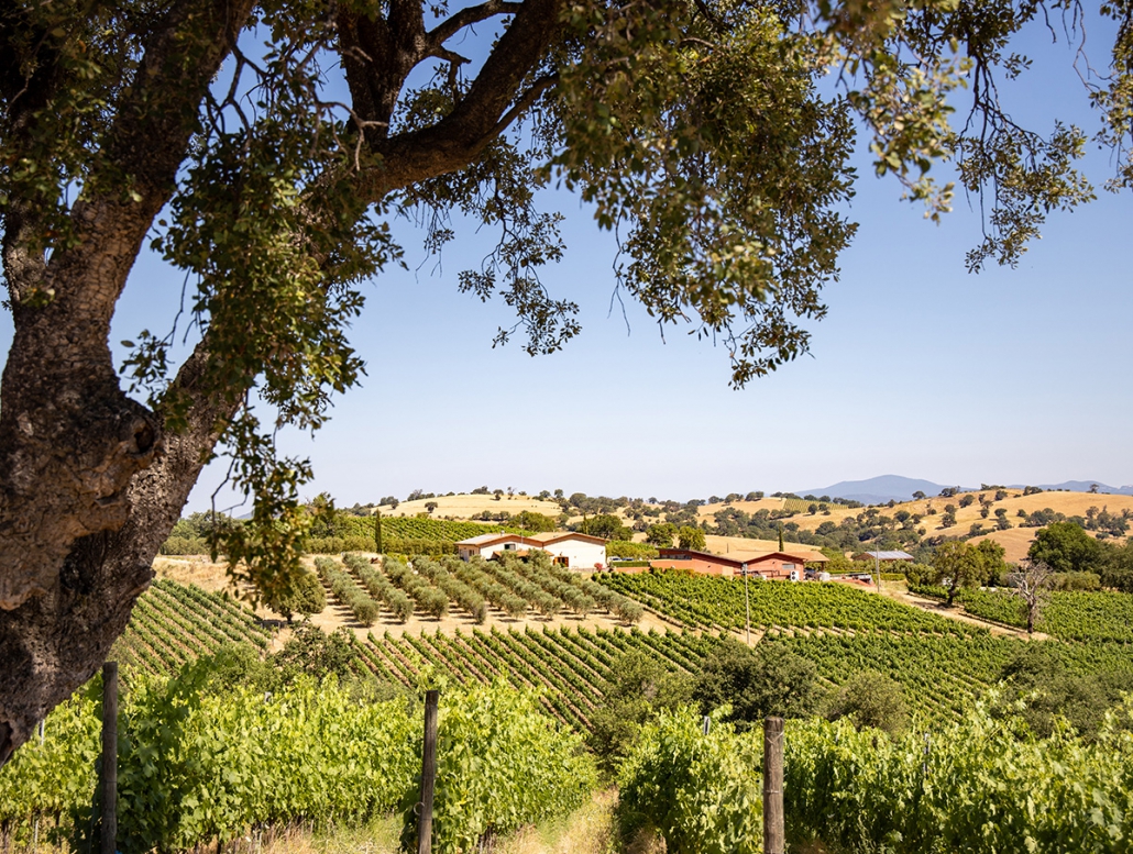 Gallery image 10 for San Felo