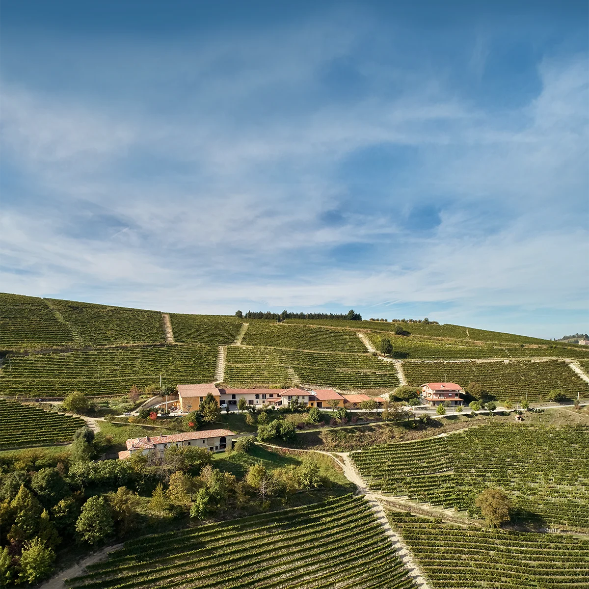 Gallery image 1 for Terrabianca