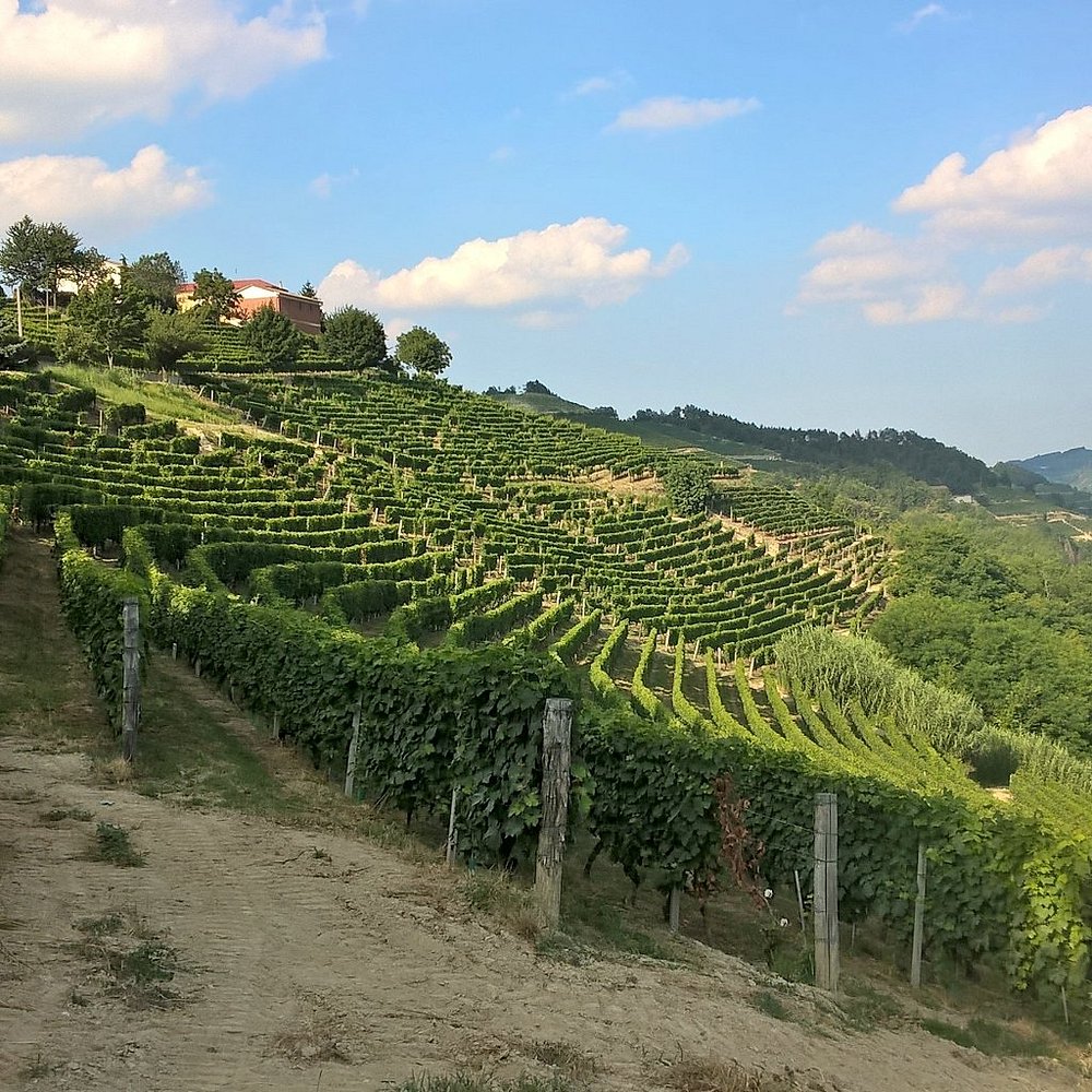 Gallery image 6 for Terrabianca