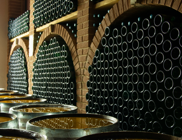 Gallery image 1 for Vigneti Radica