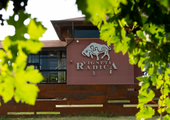 Gallery image 2 for Vigneti Radica