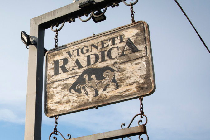 Gallery image 4 for Vigneti Radica