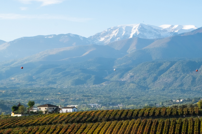 Gallery image 5 for Vigneti Radica