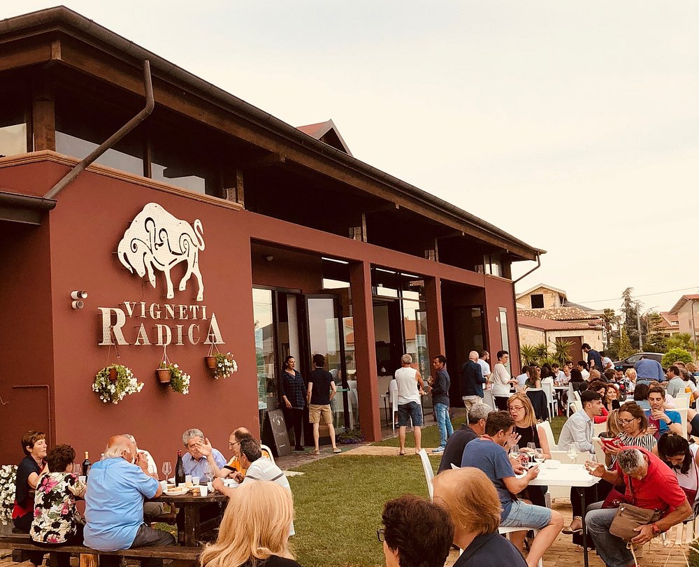 Gallery image 7 for Vigneti Radica