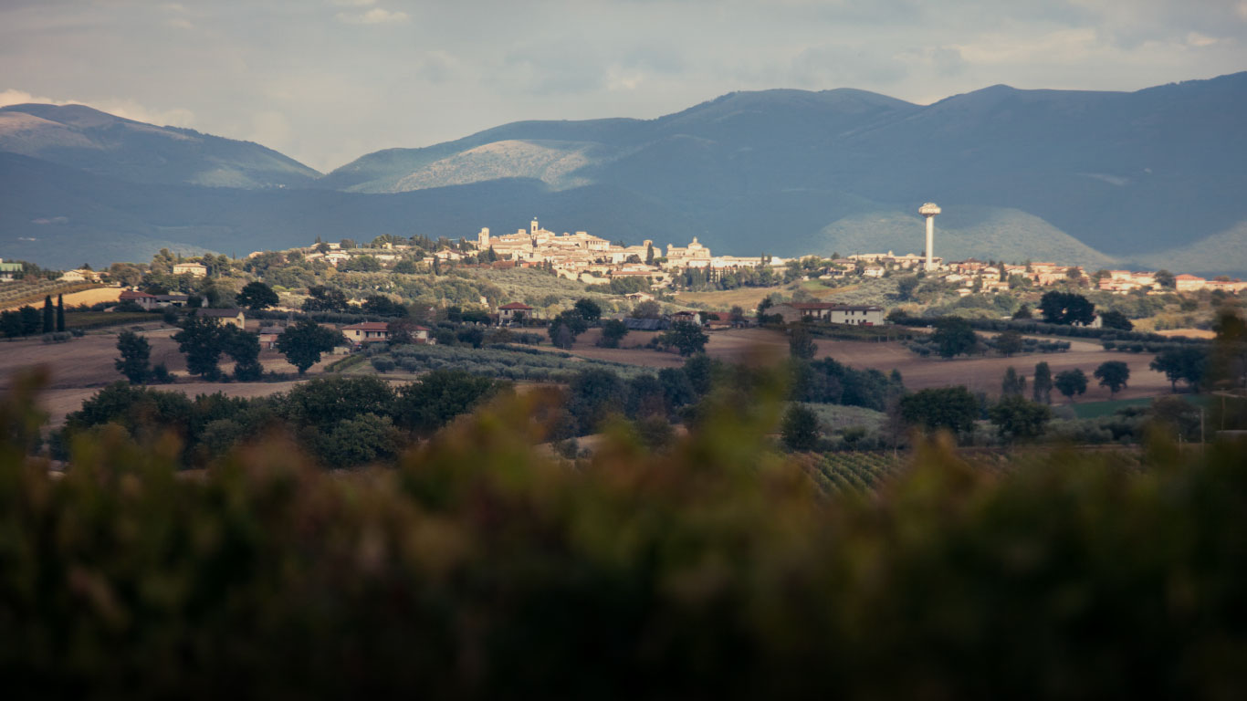 Gallery image 2 for Scacciadiavoli