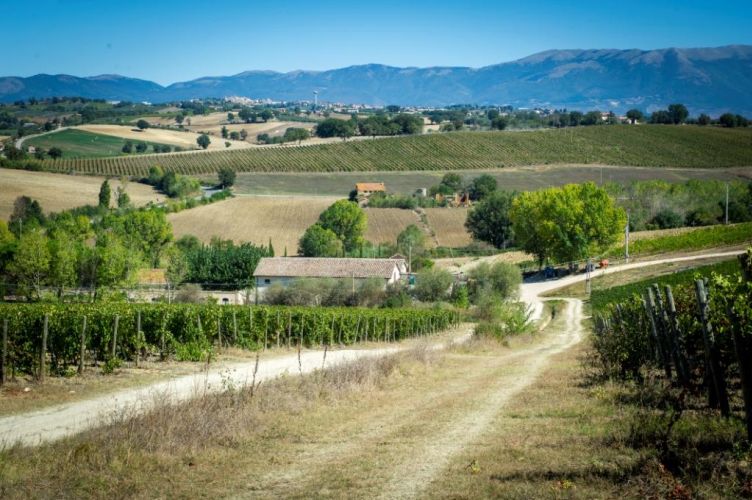 Gallery image 7 for Scacciadiavoli