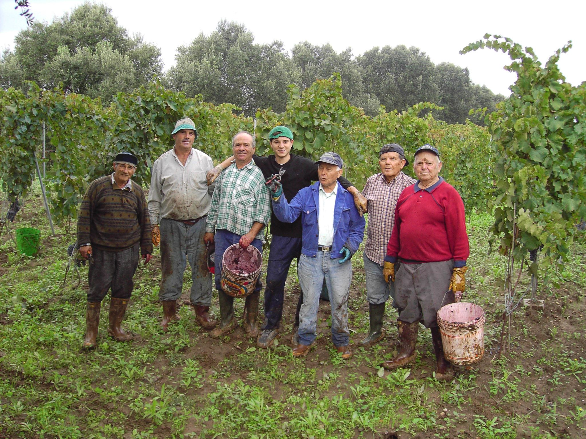 Gallery image 5 for Cantine Leuci