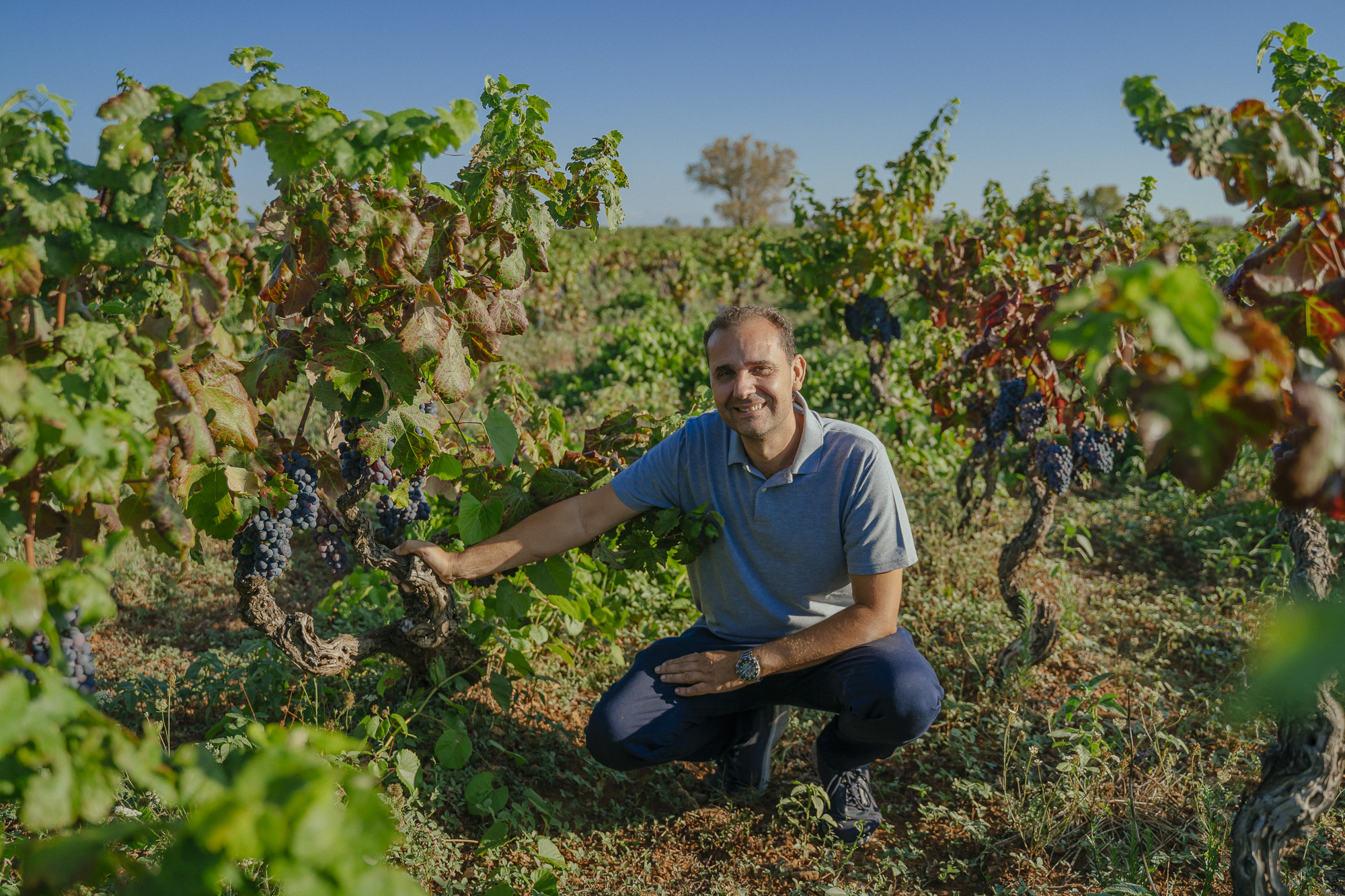 Gallery image 9 for Cantine Leuci